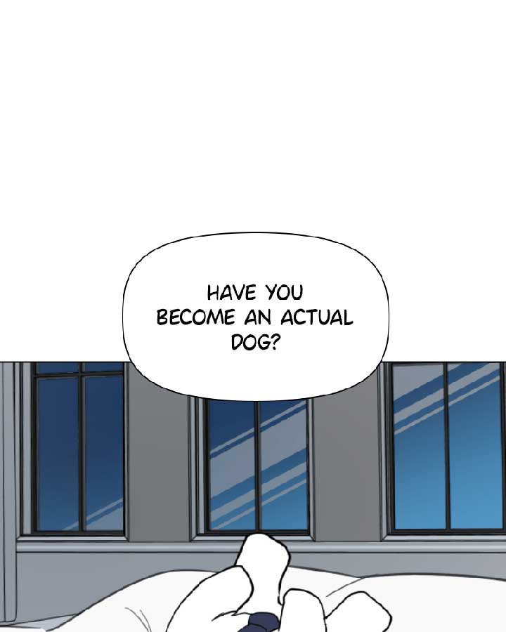 How to Hold X’s Leash Chapter 37 page 49