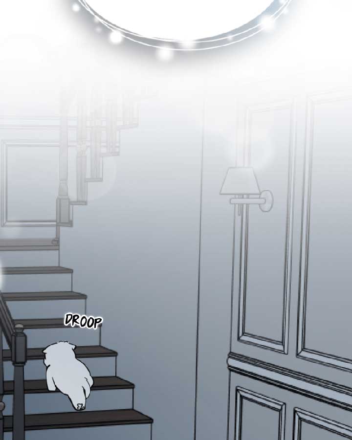How to Hold X’s Leash Chapter 37 page 55