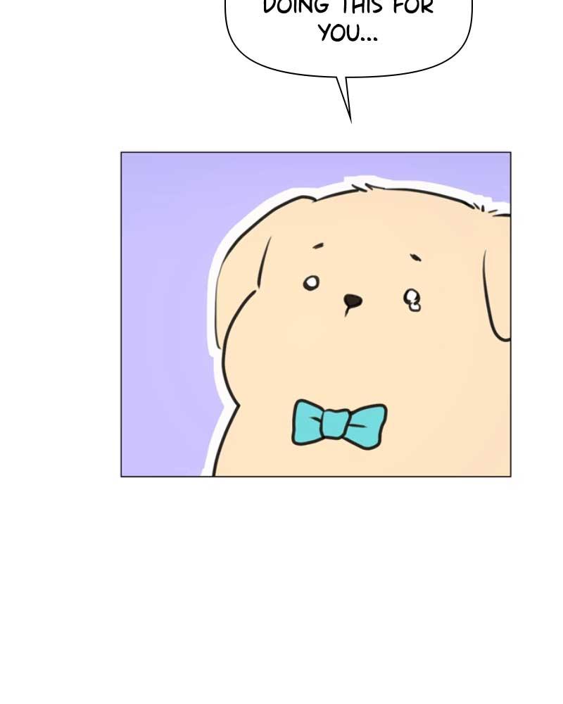 How to Hold X’s Leash Chapter 38 page 14