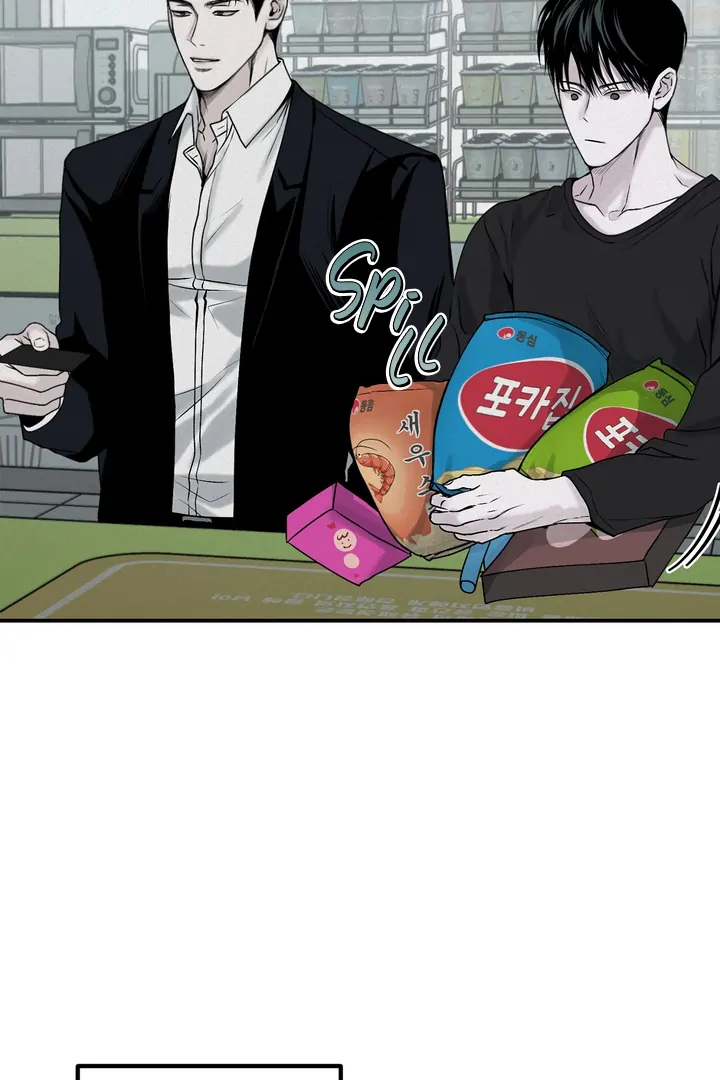 Projection Chapter 30 page 45