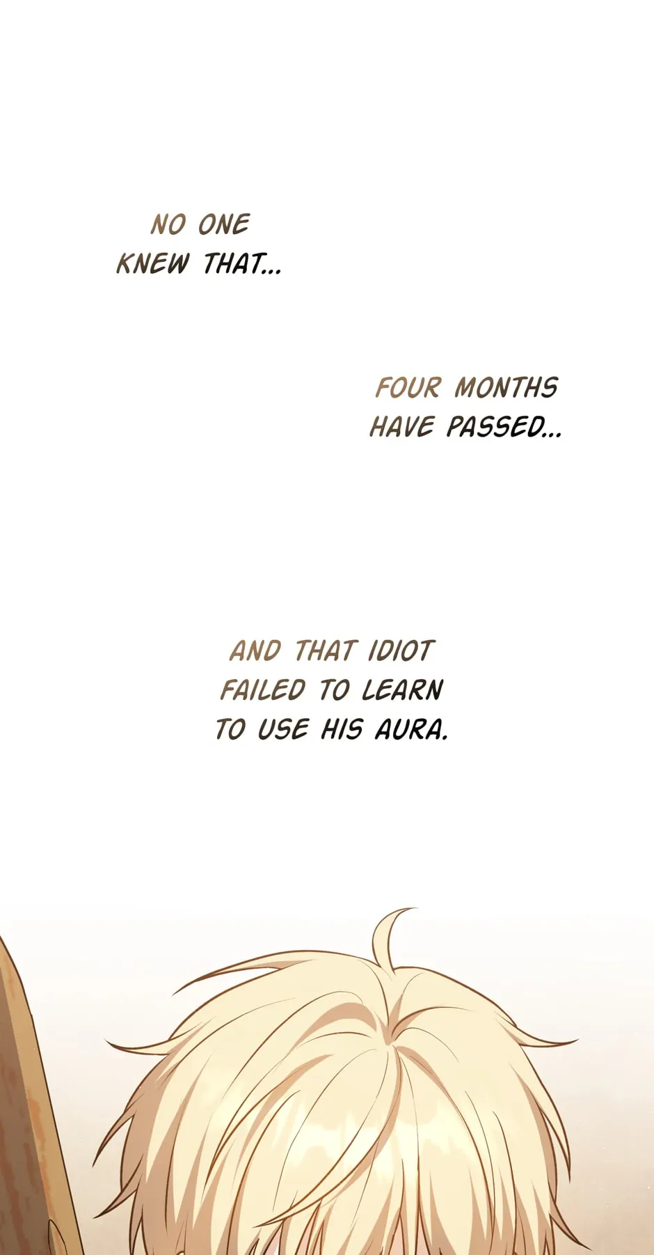 The Reincarnated Assassin Is a Swordmaster Chapter 19 page 15