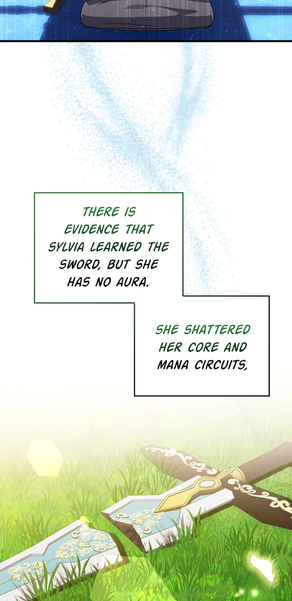 The Reincarnated Assassin Is a Swordmaster Chapter 5 page 25